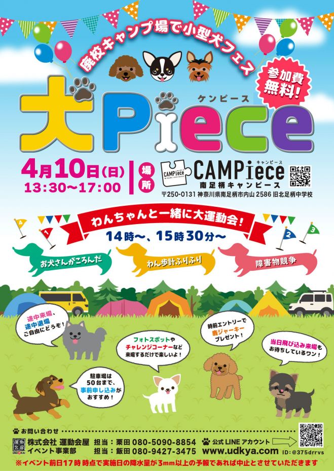 犬ピース 廃校キャンプ場で小型犬フェス 22年4月10日 神奈川県 こくちーずプロ