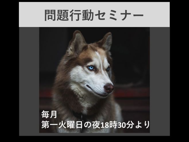オンラインの 犬しつけ セミナー 勉強会 イベント こくちーずプロ
