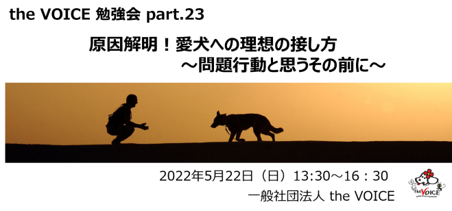 The Voice勉強会 Part 23 原因解明 愛犬への理想の接し方 問題行動と決めつける その前に 22年5月22日 オンライン Zoom こくちーずプロ