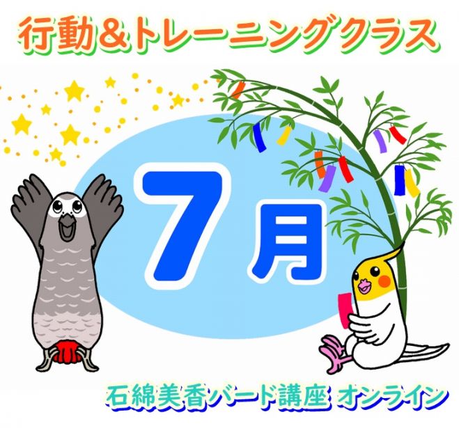 獣医師向け「トリボルナウィルス感染症」を知るオンラインセミナー 【見逃し配信・動画販売】, 書籍＆ＤＶＤ、セミナー