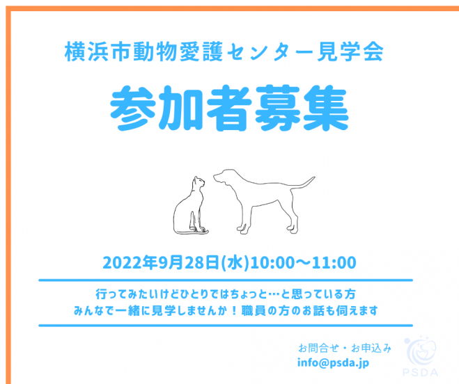 11 イベントカレンダー 行事スケジュール 22年9月 こくちーずプロ