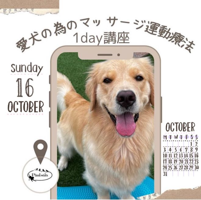 犬の健康 はじめての 愛犬の為のマッサージ 運動療法 22年10月16日 10月16日 犬の健康 愛知県 こくちーずプロ