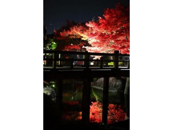 夜間特別開園「紅葉の宴」