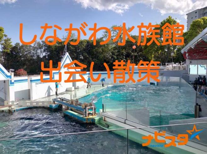 えすてぃーあい