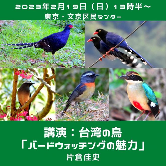 台湾の鳥・バードウォッチングの魅力 2023年2月19日（東京都） - こくちーずプロ
