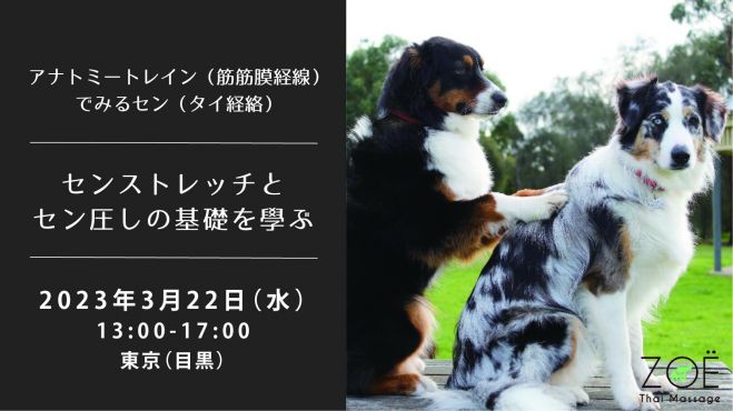 アナトミートレイン』セミナー・勉強会・イベント - こくちーずプロ
