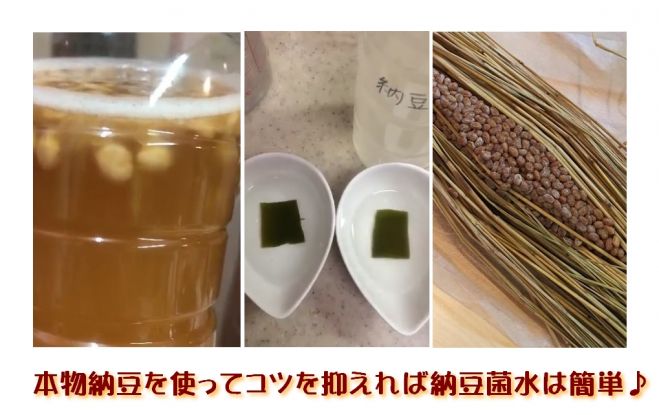 納豆菌水成功のコツと手作り最強ローションws コピー 17年1月19日 奈良県 こくちーずプロ 納豆菌水成功のコツと手作り最強ローションws コピー 17年1月19日 奈良県 こくちーずプロ