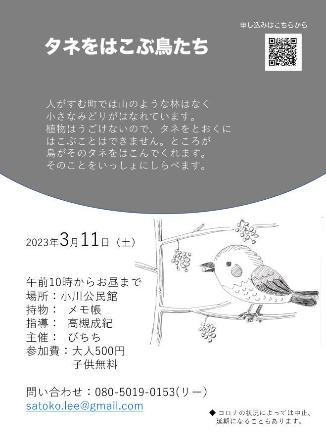 タネをはこぶ鳥たち　2023年3月11日（東京都）　こくちーずプロ