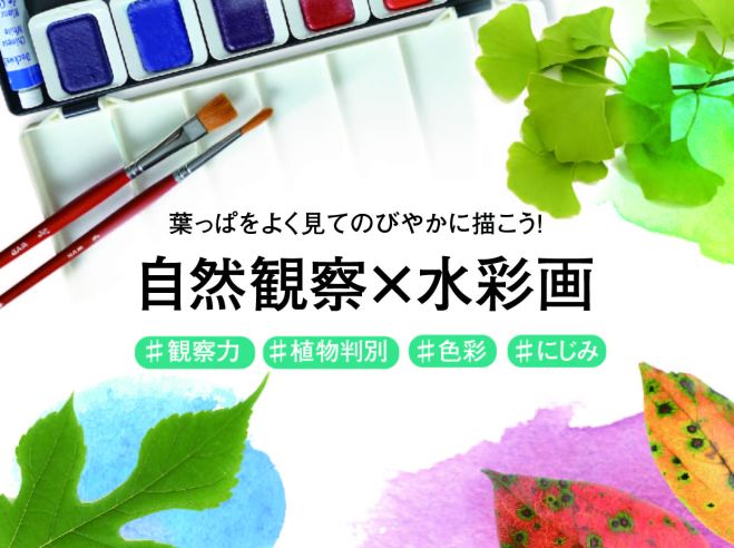 観察力を磨く!オトナの水彩画】身近な葉っぱの魅力を再発見!にじみ技法でのびやかに描こう 2023年10月12日 - こくちーずプロ