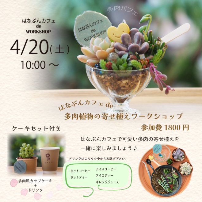 ★このまま飾れる★多肉植物 寄せ植え 多肉パフェ 和風パフェみたいな多肉寄せ植え🍵💕 - YouTube