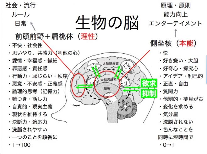 人生を楽しく生きるには好きな仕事をしよう セミナーおよび人間心理を考えるワークショップ お酒と料理にヴァイオリン演奏を添えて 17年6月24日 東京都 こくちーずプロ