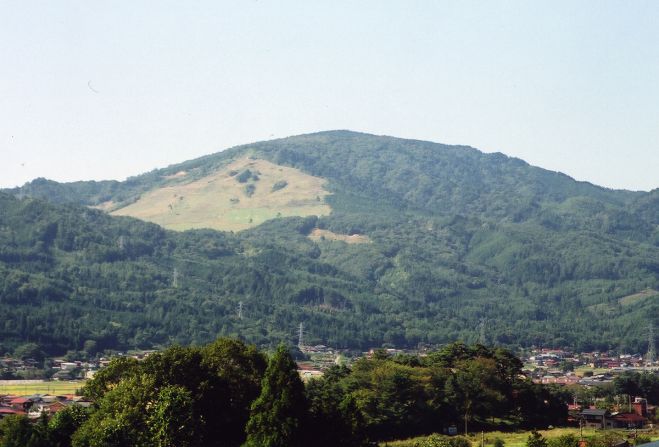 写真1