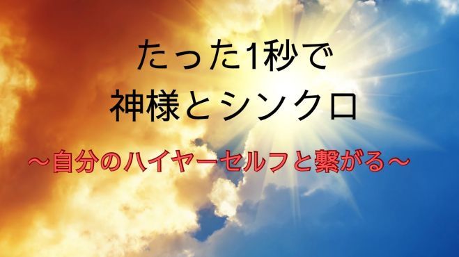 写真1