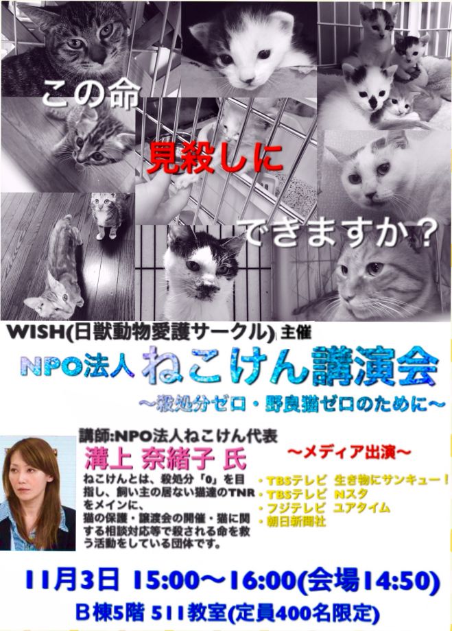 けん ねこ