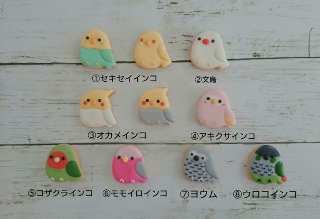 うちの子インコが作れるバードハウスレッスン 19年8月4日 東京都 こくちーずプロ