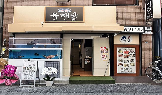写真1