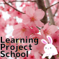 Learning project school