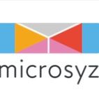 microsyz