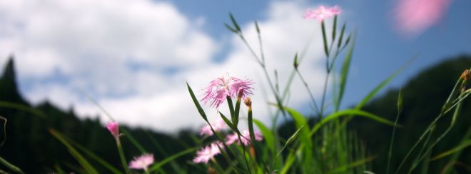 アトリエなでしこ こくちーずプロ アトリエなでしこ こくちーずプロ