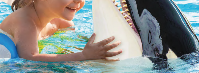 オルカモバイル こくちーずプロ