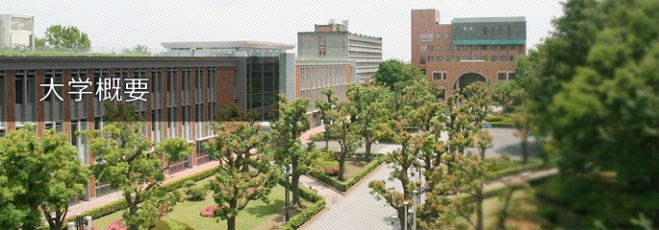 千葉商科大学