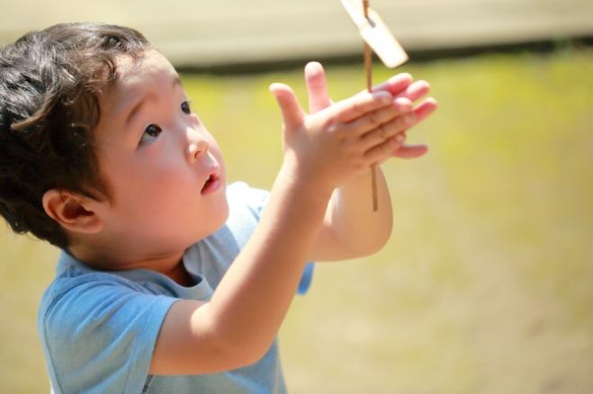 【2018秋】子どもも行きたい!!はずせない、親子イベント-東北編-