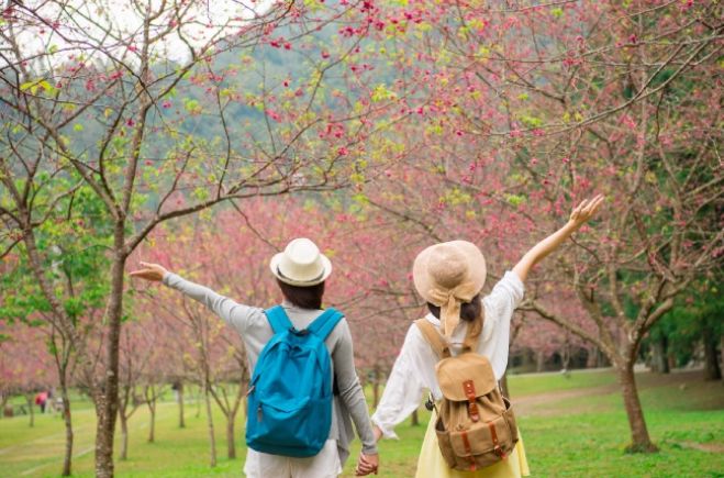 【2020関西】大好きな人と行きたい!デートにぴったりお花のイベント