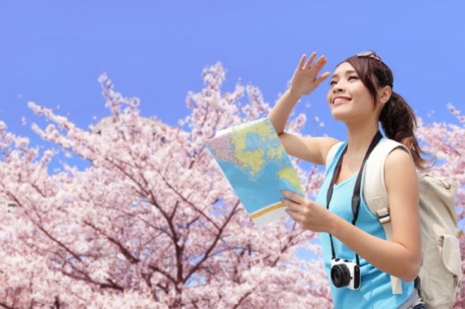 【2018 中国・四国】一度は行ってみたい!春の訪れを感じる桜まつり