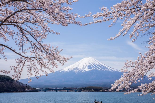 【2018】春の訪れを感じる、名古屋周辺の桜まつり