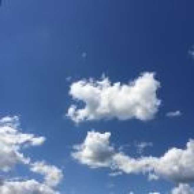 リーダーシッププログラム こくちーずプロ